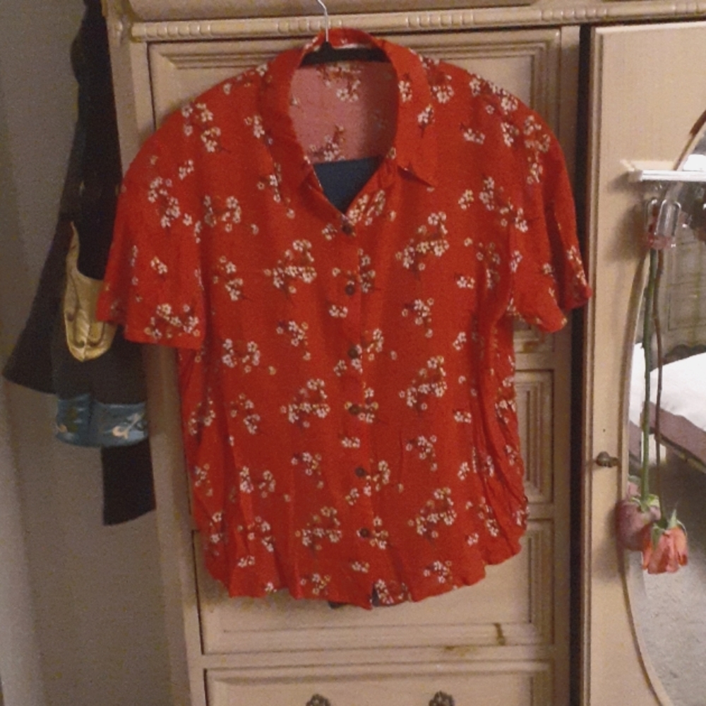 Red Blouse